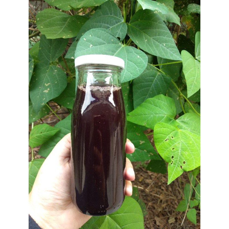 

Madu Murni Botol 250ml