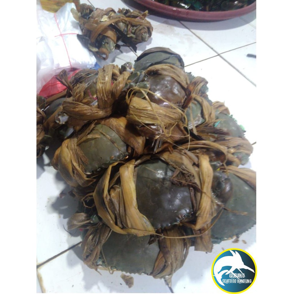 

kepiting segar ukuran besar