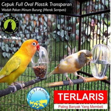 CEPUK WADAH PAKAN MINUM BURUNG FULL OVAL PLASTIK TRANSPARAN ANTI TUMPAH MEREK SEMPATI UNTUK LOVEBIRD