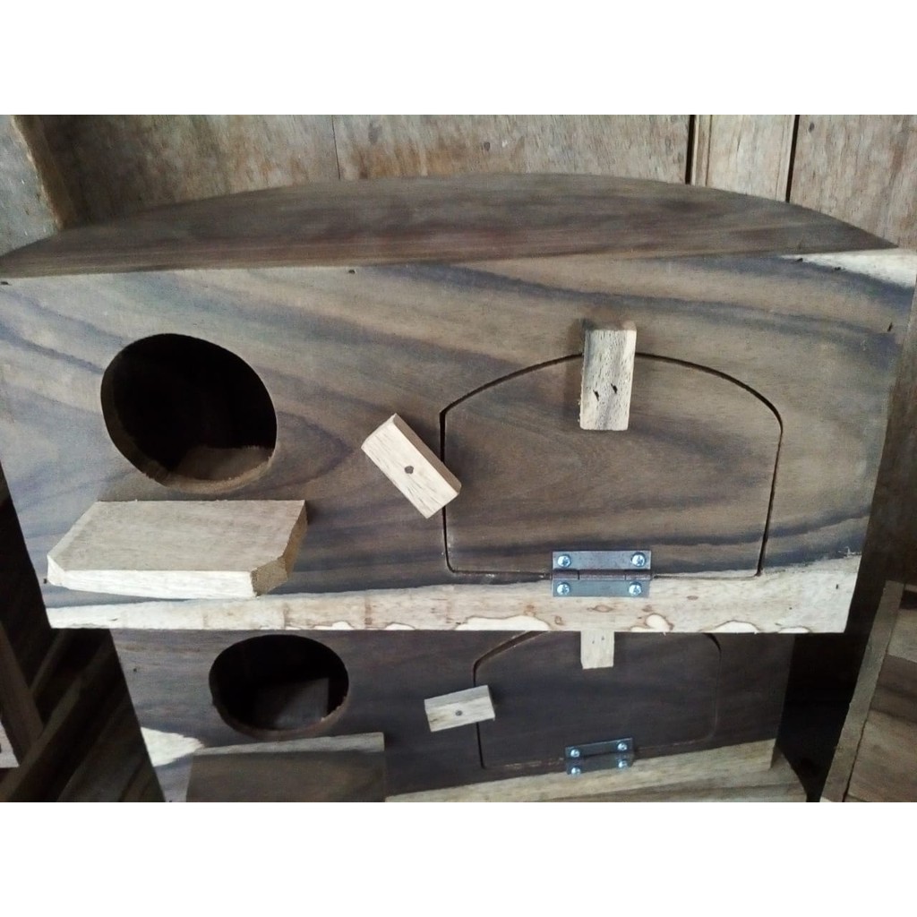 produsen glodok love bird setengah lingkaran, glodok lovebird, glodok parkit, glodok murai, glodok l