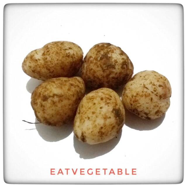 

Kacang Bogor 1 Kg