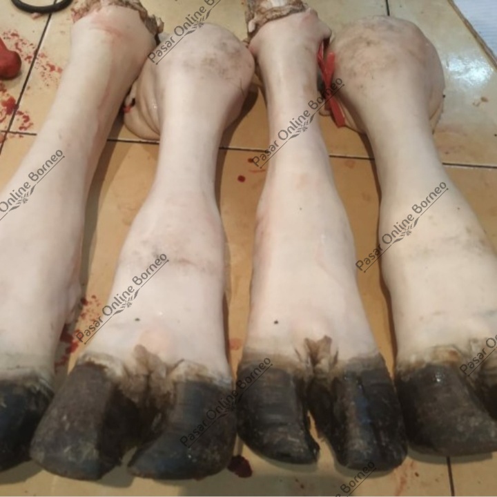 Kaki Sapi Kikil Kaki Sapi 1 Pcs Utuh