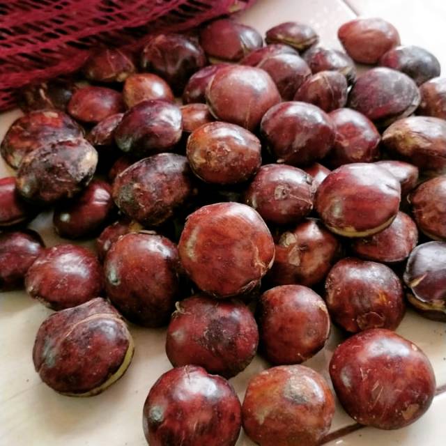 

Jengkol
