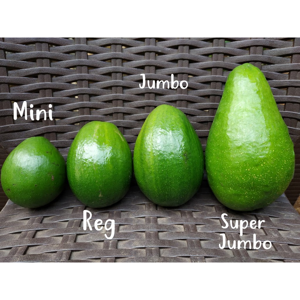 

Alpukat mentega SUPER