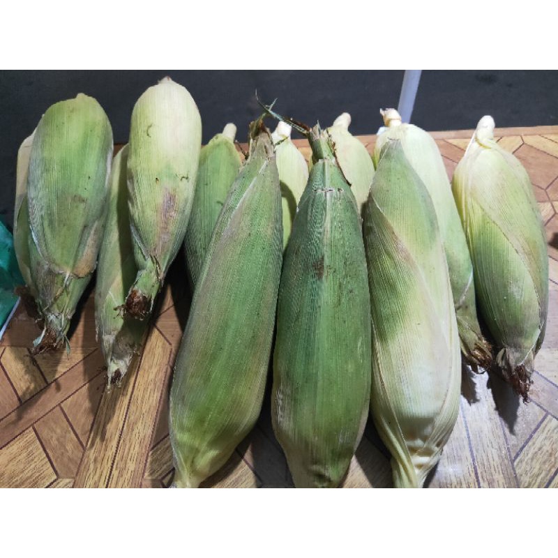 

JAGUNG MANIS 1 BUAH / JAGUNG KULIT