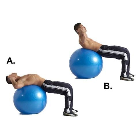 Bola Yoga Gym Ball Pilates Senam Balance Fitnes Ball 65CM Tanpa Pompa