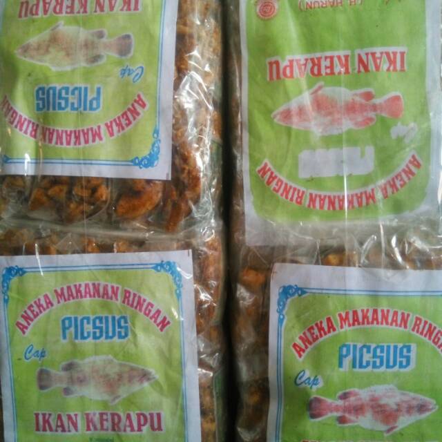 

Piksus ikan kerapu hot
