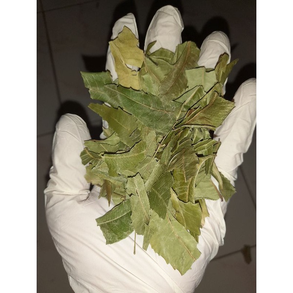 

daun mimba/neem leaf kering steril bersih 50gr