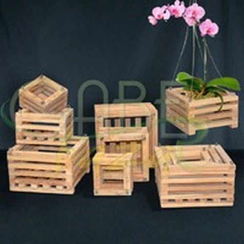Pot Anggrek Kayu