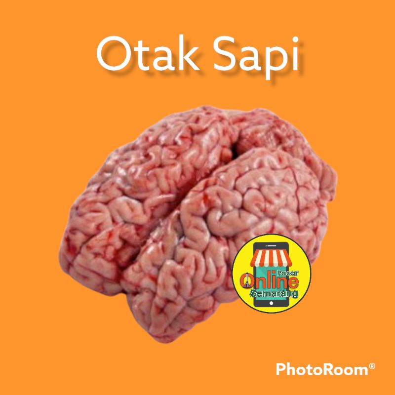 

Otak Sapi Segar dan fresh / Belanja Daging Sapi Semarang