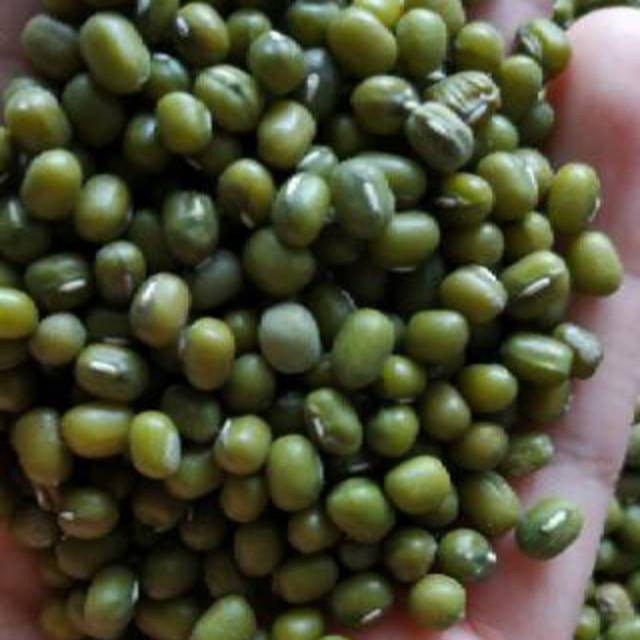 

Kacang Hijau Super 250 gr