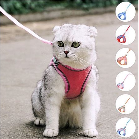 Premium Tali Tuntun Badan Kitten, Anak Kucing, Kucing, Puppy dan Anjing Kecil / Dog Cat Leash Harness with Reflective Strap Pet Vest