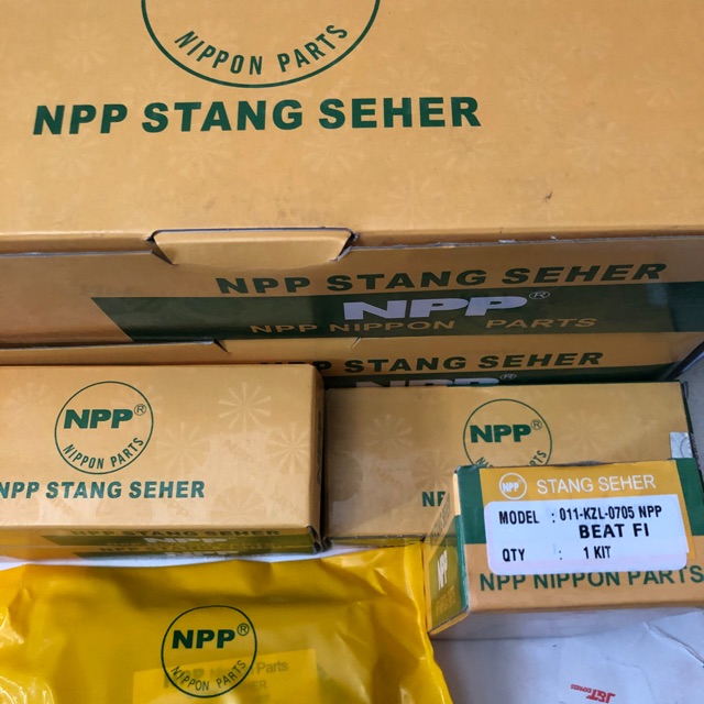 Stang seher beat FI KZL NPP