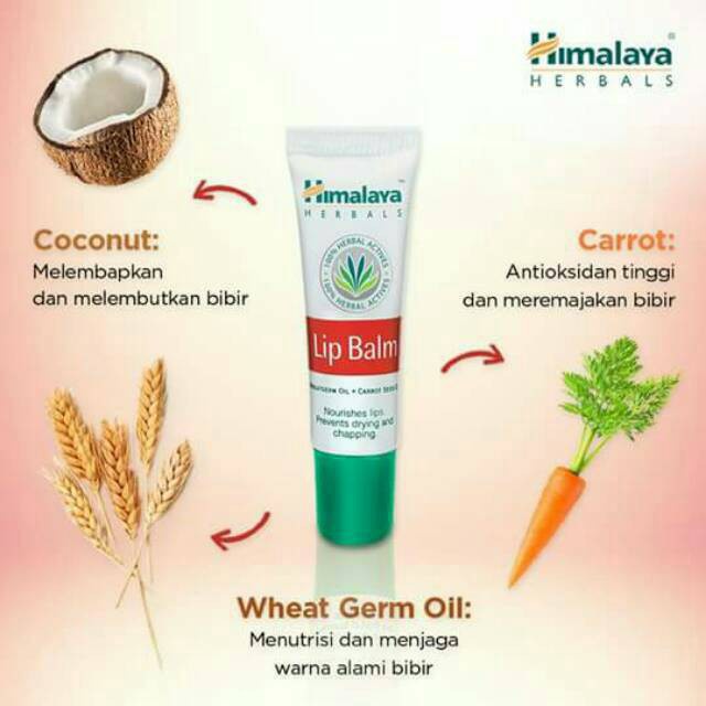 Himalaya Herbals Lip Balm