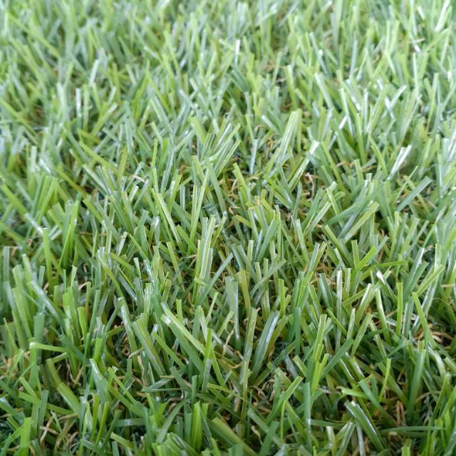 RUMPUT SINTETIS PLASTIK TAMAN INDOOR