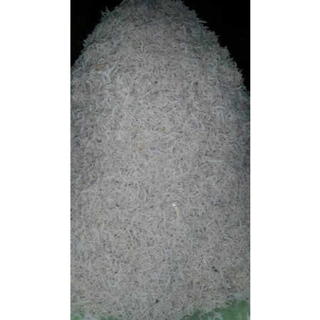 

TERi NASI SUPER