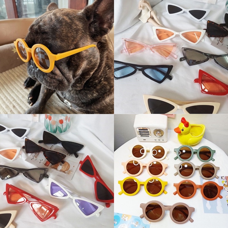 High fashion pet sunglass