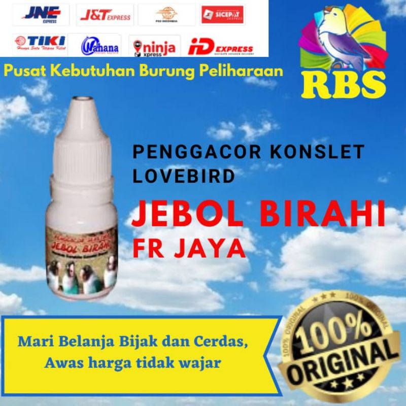 Penggacor Lovebird Seketika Jebol Birahi FR Jaya