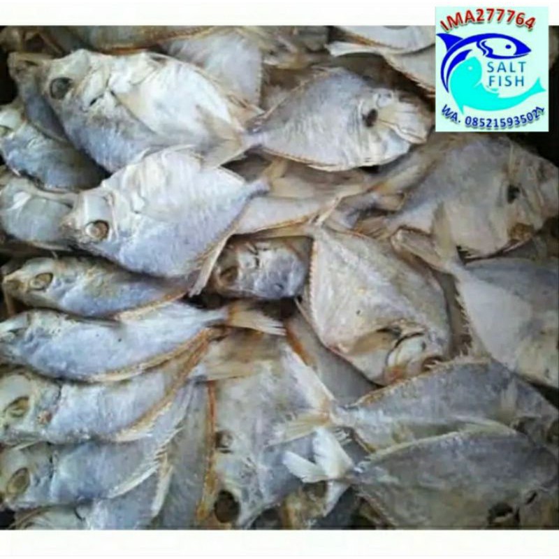

Asin Petek kecil kering 1 kg harga termurah