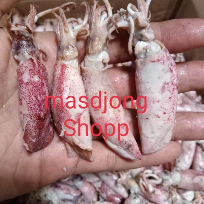 

cumi asin telor size besar (4-8cm)(1000gr/1kg).