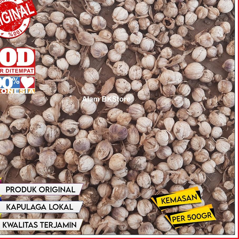 

㊛ Kapulaga Kering Lokal 500gr / Kapolaga Kapol Lokal Jawa ㅔ