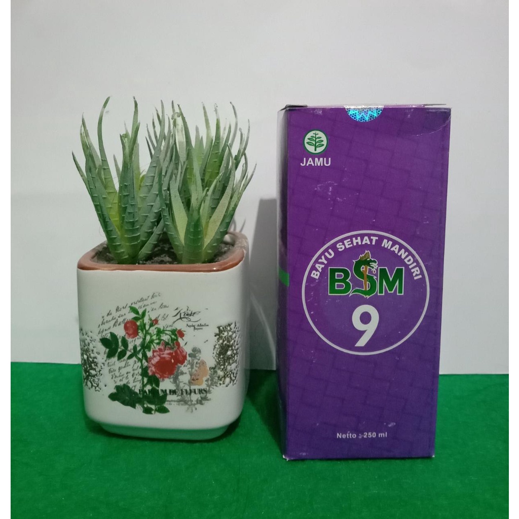 Jual Base Herbal Bsm 9 Obat Herbal Tradisional Jamu Shopee Indonesia 2145