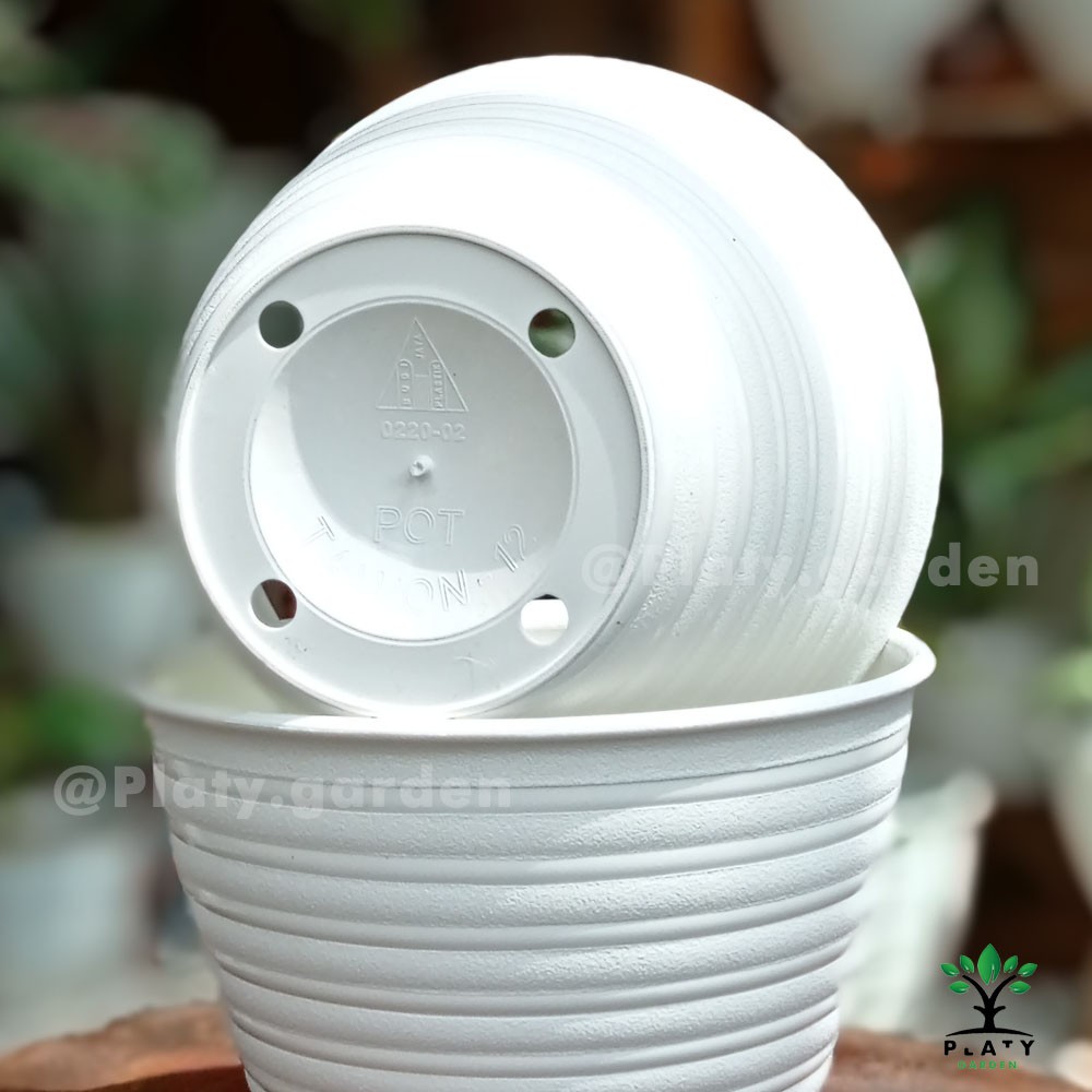 Pot Tawon Original 12 cm Pendek | Pot Tanaman Hias Model Tawon Original Budi Jaya