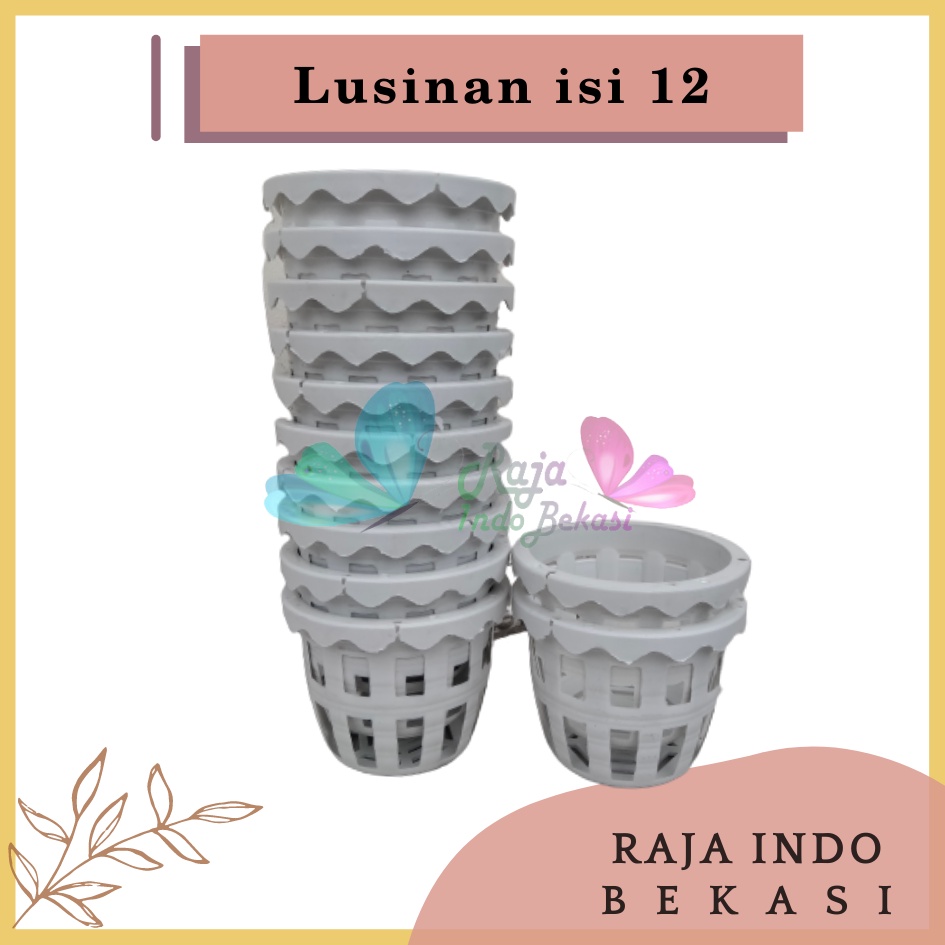 LUSINAN Pot Anggrek  Orchid 10 Putih Isi 12 Pcs TERMURAH GROSIR Pot Anggrek Lusinan Hitam Murah