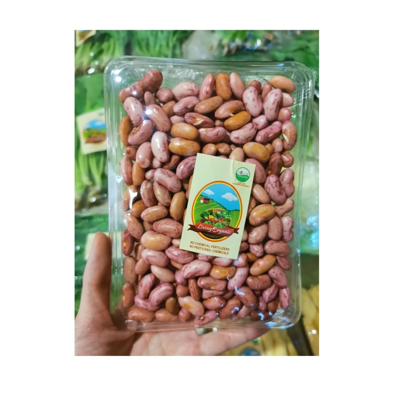

Kacang Merah Jogo Organik || 200 gr || Red Bean sayuran Organik