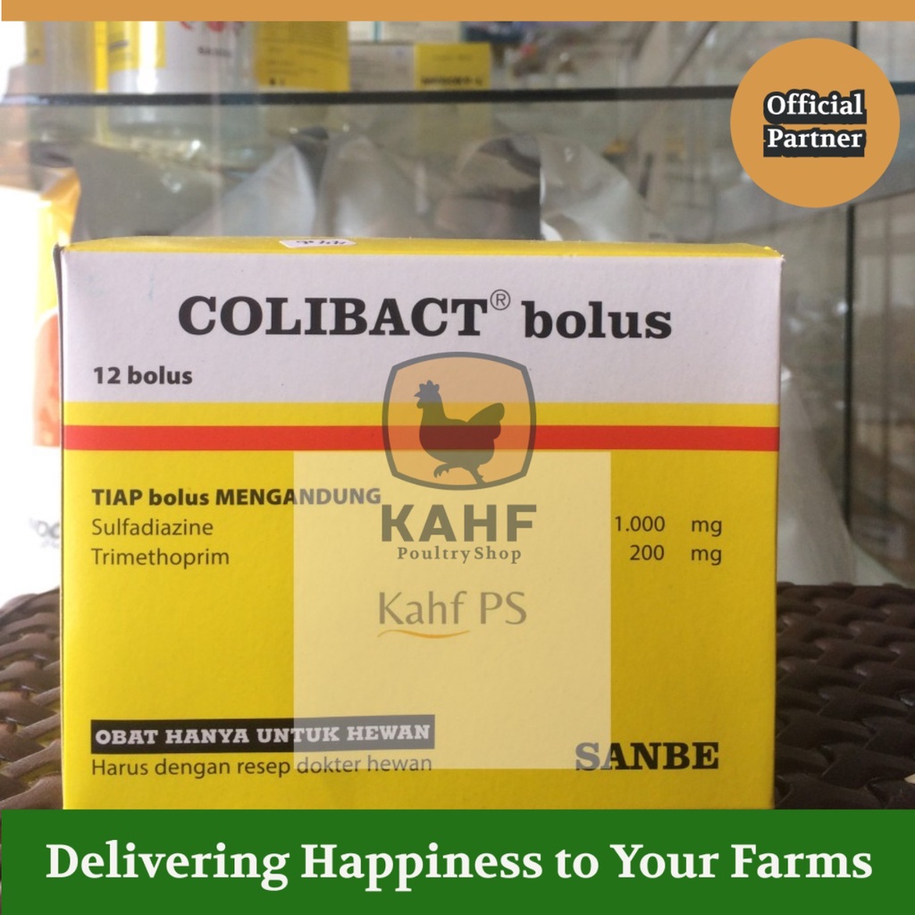 Colibact Bolus Ecer isi 1 Bolus