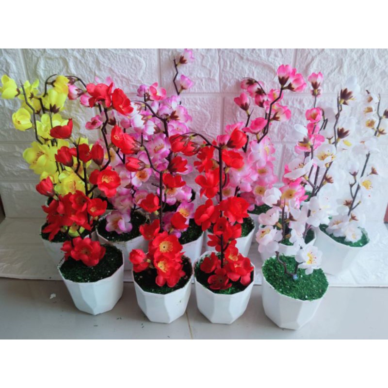

sakura tinggi