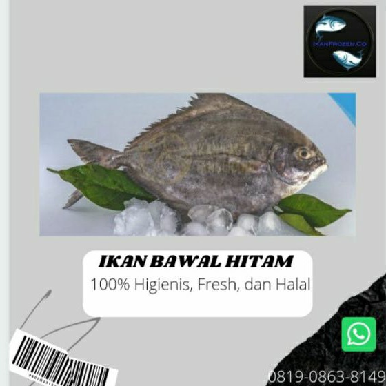 

IKAN BAWAL HITAM/BAWAL HITAM IKAN FROZEN FRESH BEKU SEGAR MURAH-1kg