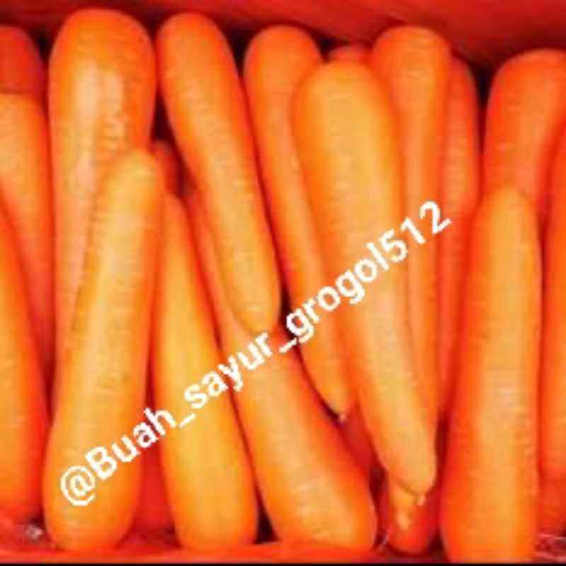 

WORTEL IMPORT / WORTEL BERASTAGI _ 500gr