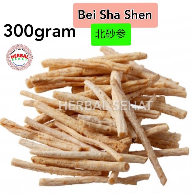 

300gram Bei Sha Shen Radix Glehniae Littoralis