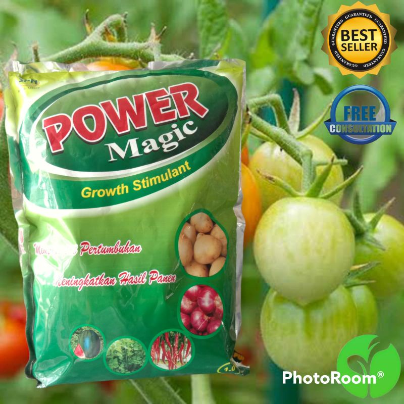 PUPUK POWER MAGIC - 1 KG