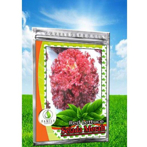 Benih Selada Merah