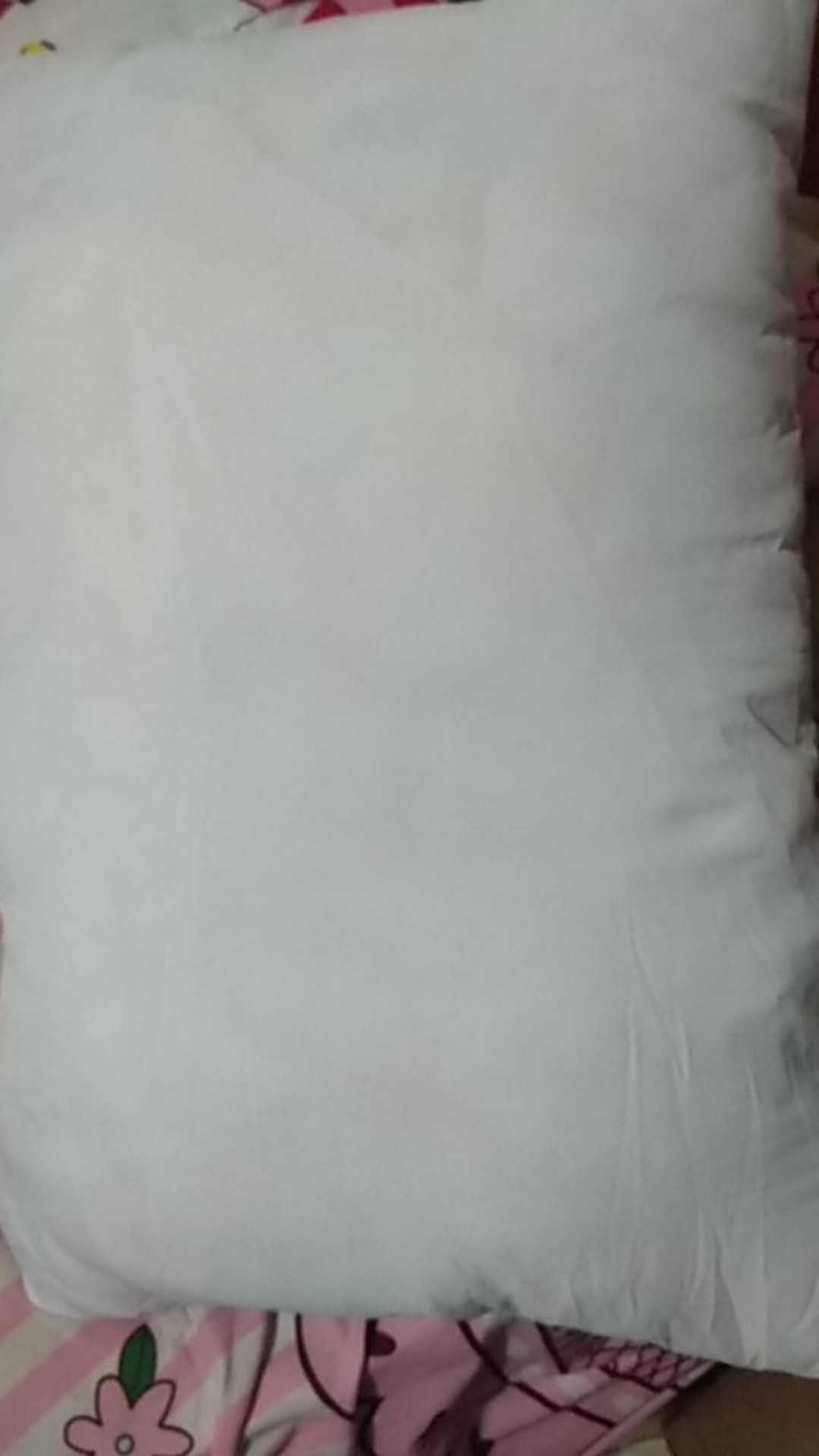 Bantal Tidur Bizzarpillow