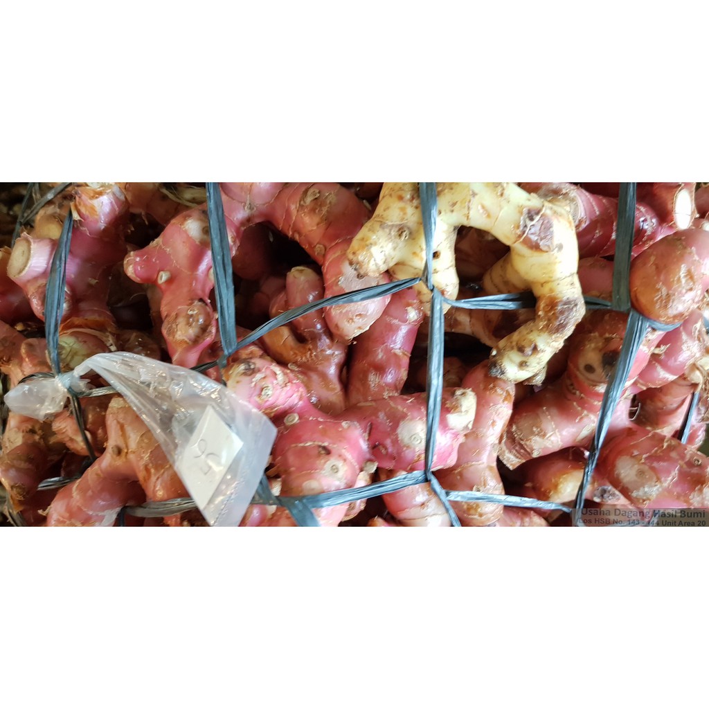 

[Bumi Mart] LAOS MERAH / LENGKOAS MERAH | 1 KG
