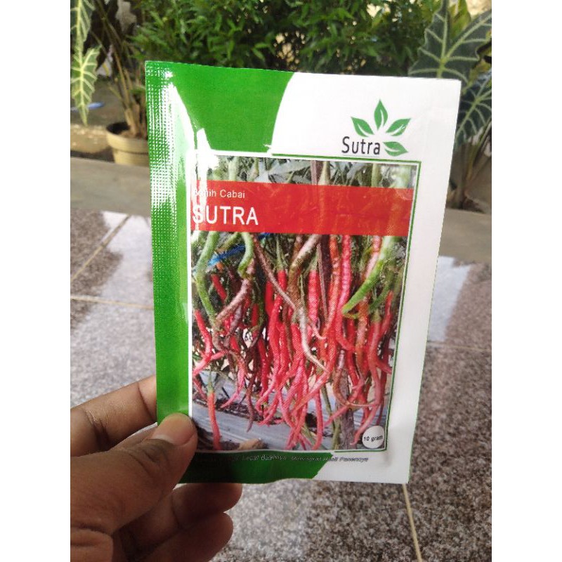 

Cabai Merah Keriting SUTRA