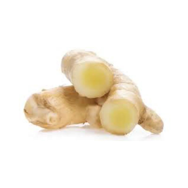 

Koneng bodas temu putih banyak manfaat 1kg temu putih