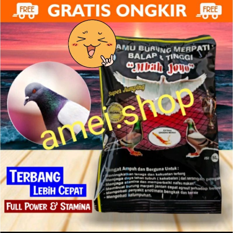 JAMU BURUNG MERPATI BALAP & TINGGI MBAH JOYO SUPER JUMPING