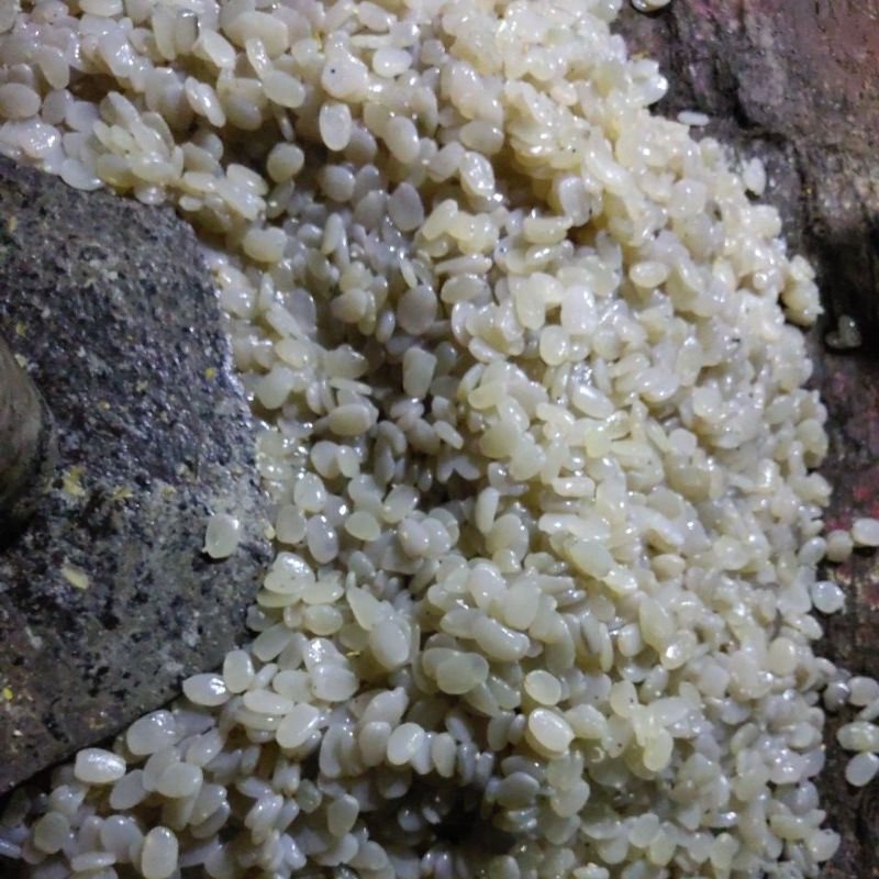 

Kolang-kaling Asli Pangandaran