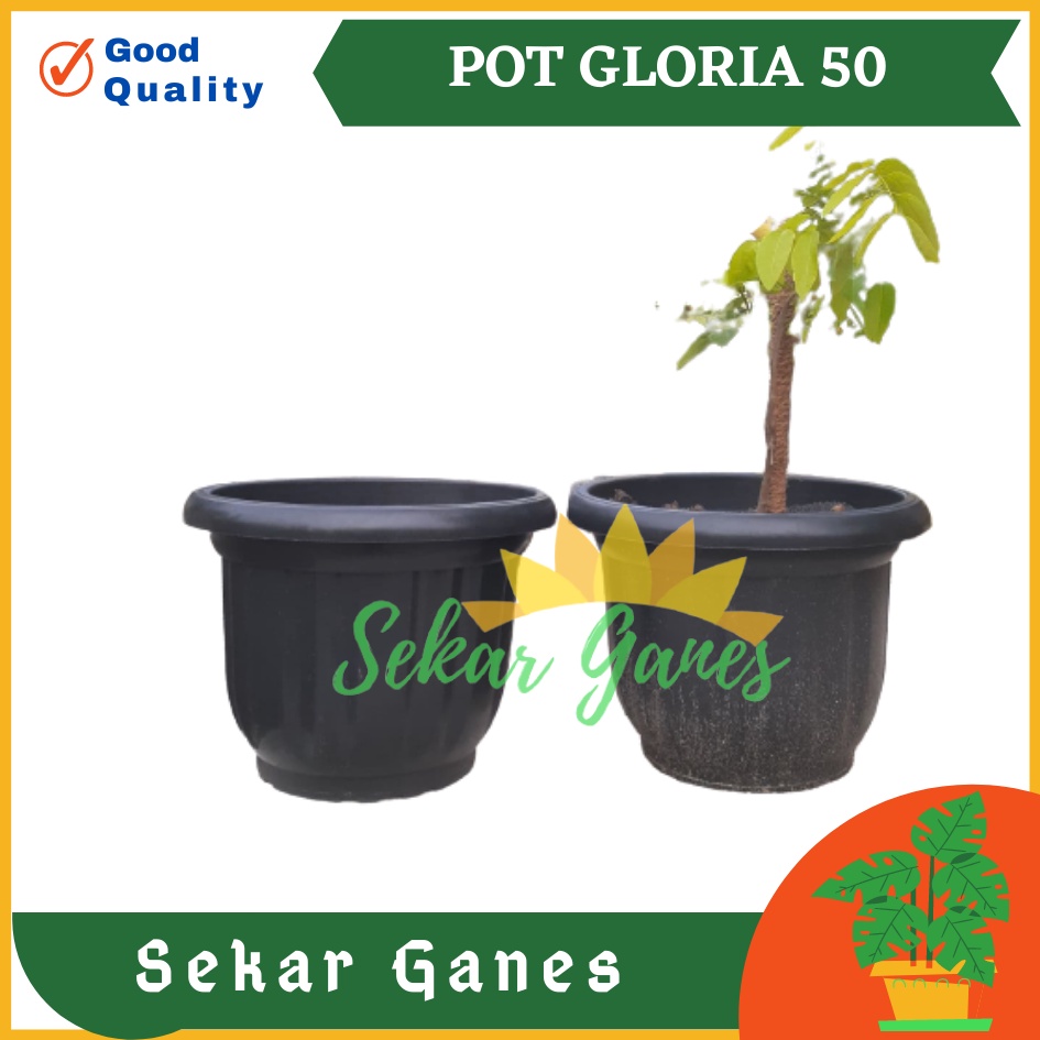 ONLY SAMEDAY AND INSTAN Pot Gloria 50 Hitam - Pot Besar Jumbo 50cm Pot Besar Plastik Bahan Tebal - Pot Hitam Gloria 50 60 70