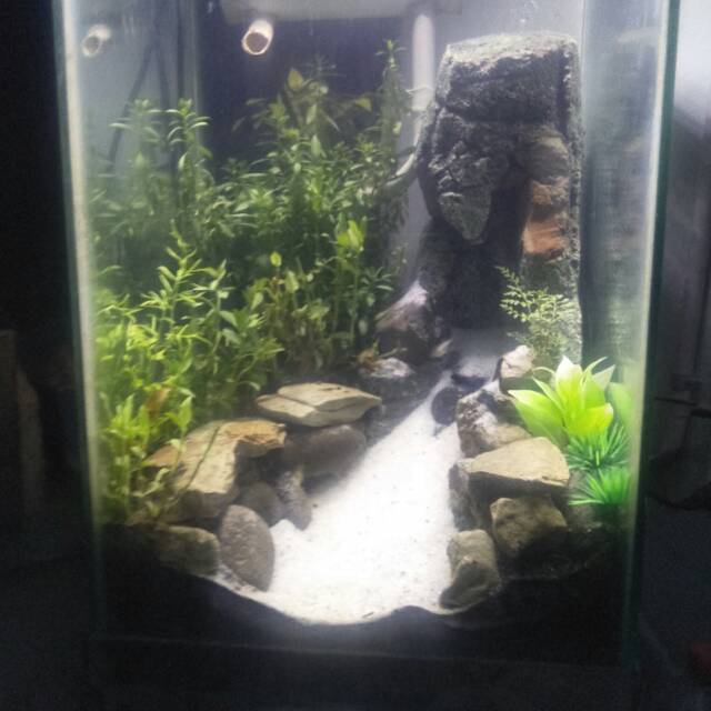 Aquascape air terjun