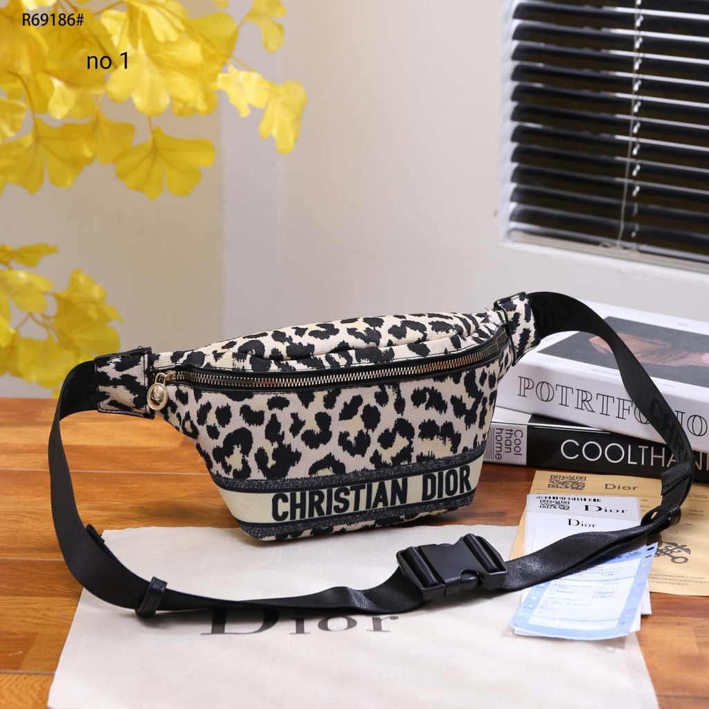 CD Canvas GHW Waist Bag R69186#