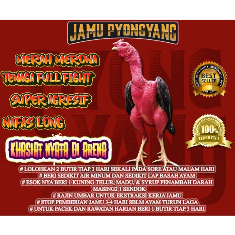 jamu ayam terbaik termurah pyongyang