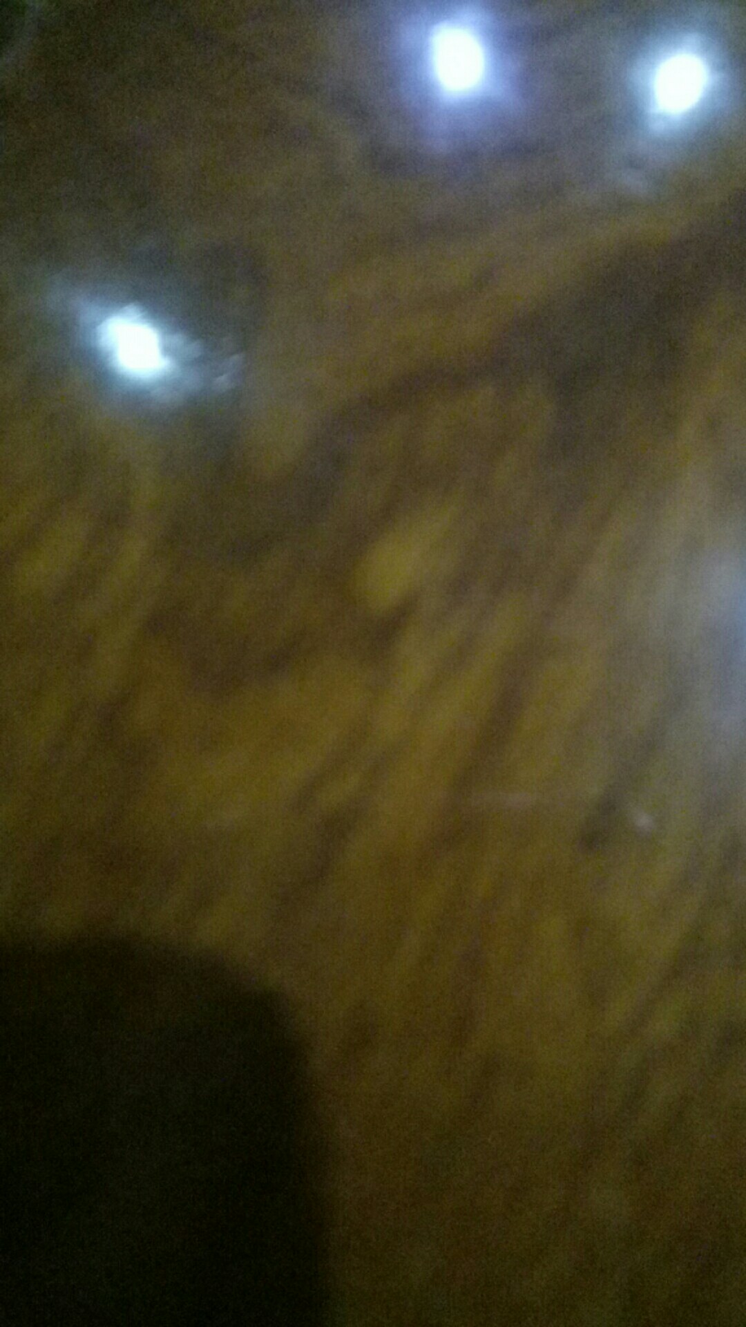 Cetakan Bolu Kukus B / Sedang 1 Lusin