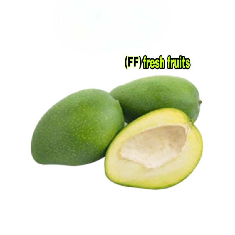 

MANGGA RUJAK