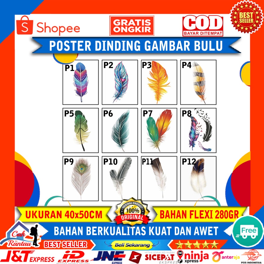 Poster Hiasan Dekorasi Dinding Gambar Bulu Ayam Warna Warni