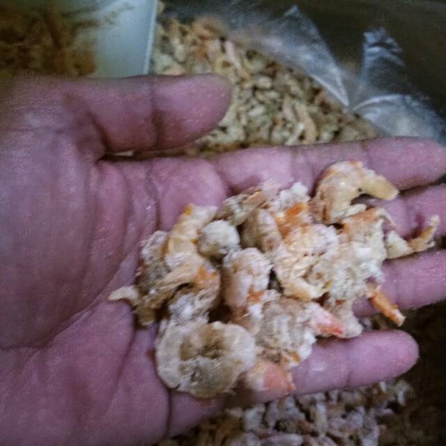 

Udang Kering/Hebi